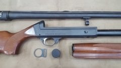 Beretta ES 100 Wood